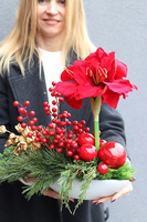 Amarylis Winter Laos, świąteczna kompozycja z czerwonymi kwiatami