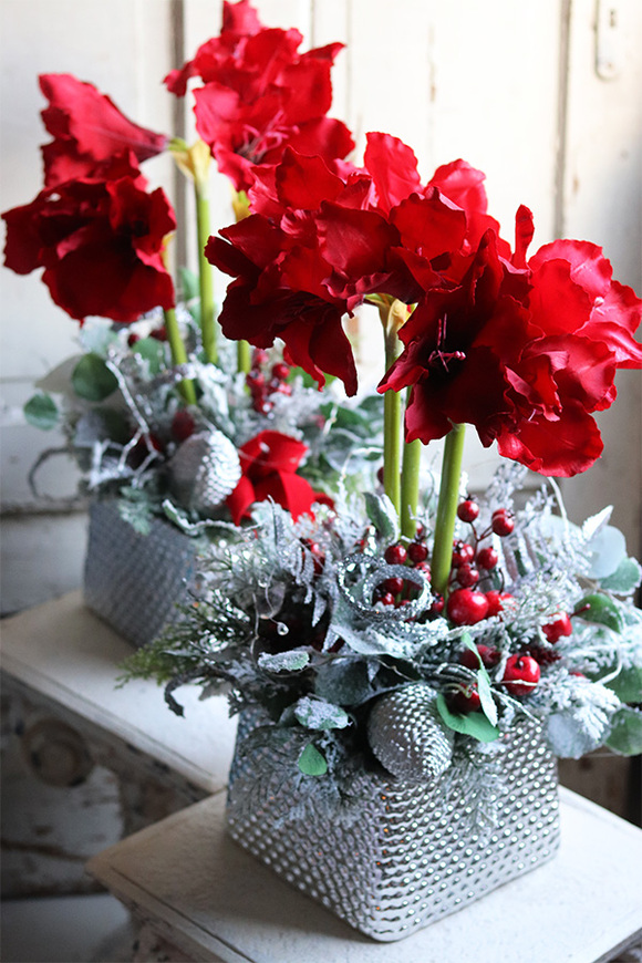 Amarylis Silver Winter, świąteczny stroik z czerwonym amarylisem, wys.60cm  