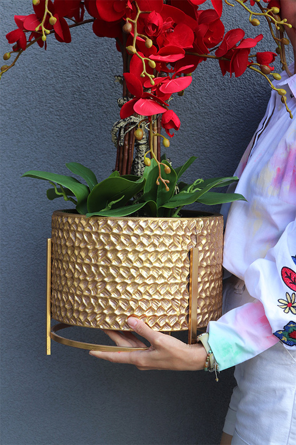 Miłość, karminowy welurowy storczyk	