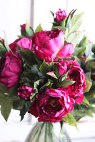 bukiet peonii w szklanym wazonie, Pink Lady, wys.68cm 