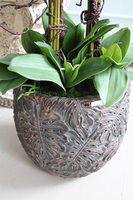 elegancki storczyk w donicy clayfibre, Monstera Premium, wys.90cm