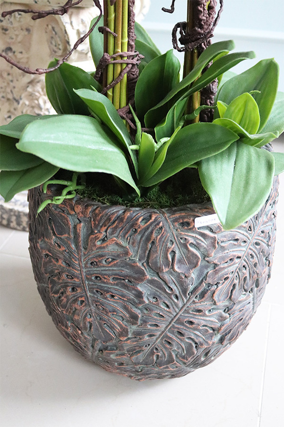 elegancki storczyk w donicy clayfibre, Monstera Premium, wys.90cm