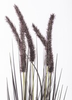 Negra, czarna sztuczna trawa z kłosami, wys.65cm