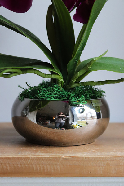 Fuksja Mini Piano, sztuczny storczyk w naczyniu glamour