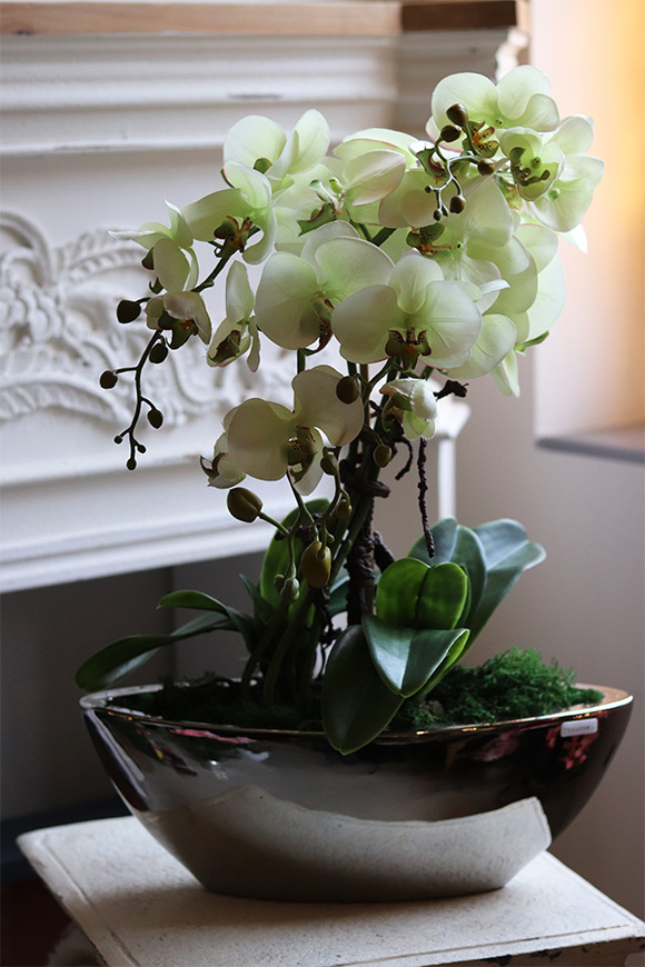 Laos Pistacjana, sztuczny storczyk