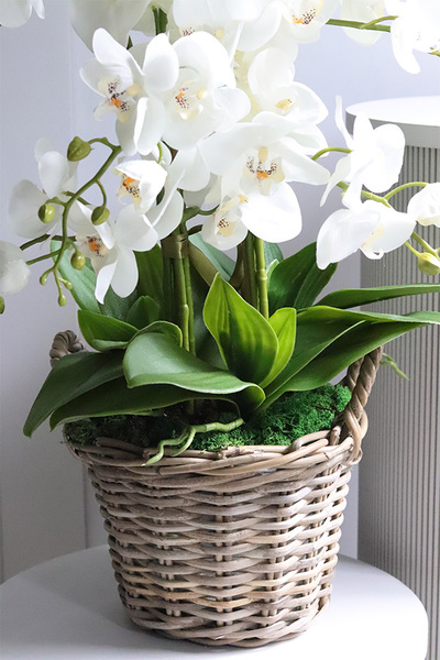 Rattania Provance A, sztuczny storczyk w wiklinowym koszu