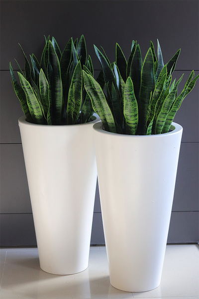 Sansewieria Della, roślina sztuczna w donicy