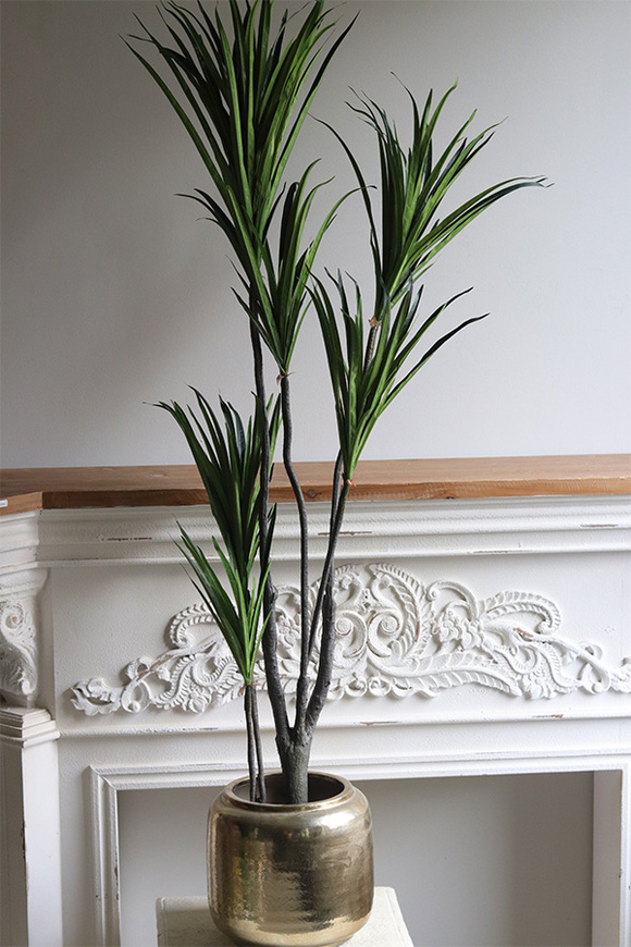 Dracena Goldigo, sztuczna roślina w doniczce