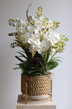 Goldenario Ellie S, biały gumowy storczyk w złotej donicy, wys.68cm