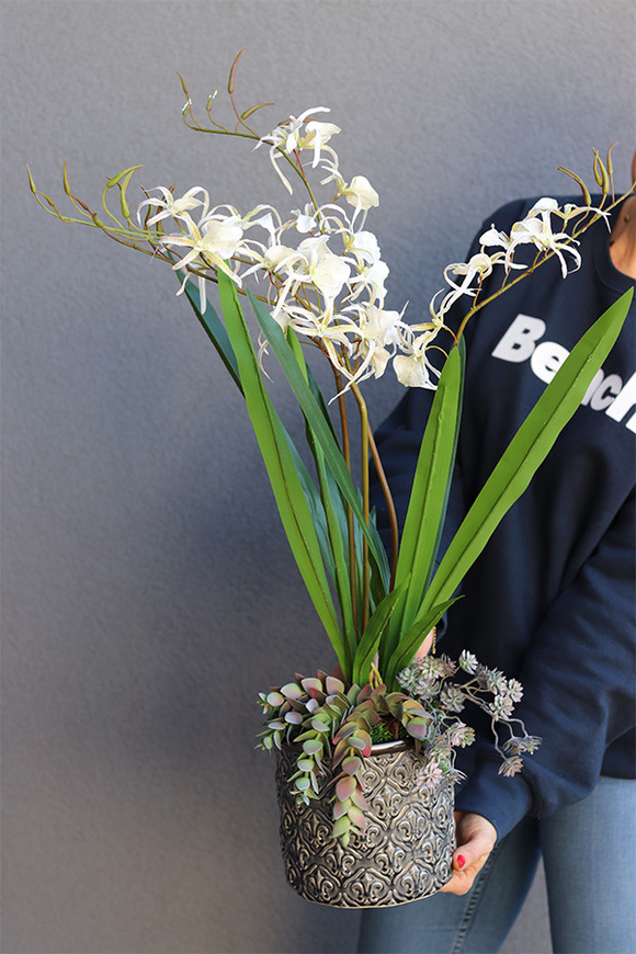 Begra, sztuczny storczyk z sukulentami