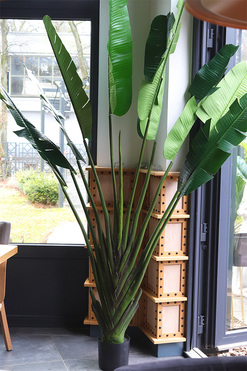 Bananowiec, sztuczne drzewko w osłonce donicy, wys.220cm