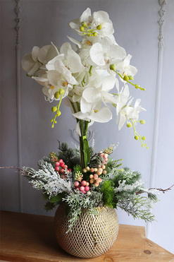 Galina, elegancki storczyk zimowy, wys.68cm 