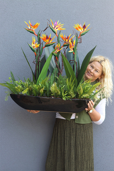 Big Laos Sukulenty Strelicja Retirena, egzotyczna kompozycja w czarnej donicy