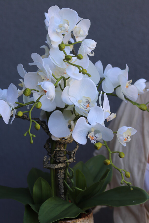 Geolia Letera, sztuczny storczyk w doniczce