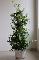 New Green Provance, drzewko sztuczne kolumnowe w donicy