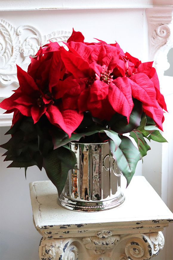 Gwiazda Betlejemska Cooler Deluxe Red, wysokiej jakości sztuczna roślina