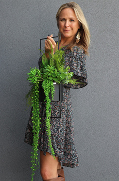 kompozycja z sukulentów, Design House B