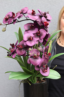 Fioletyna, wysokiej jakości sztuczny storczyk, wym.60cm