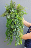 Walter Jungle, kompozycja z sukulentami w donicy fiberglass