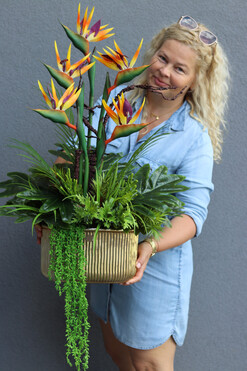 Strelicja Gold, kompozycja w złotej donicy, wys.76cm