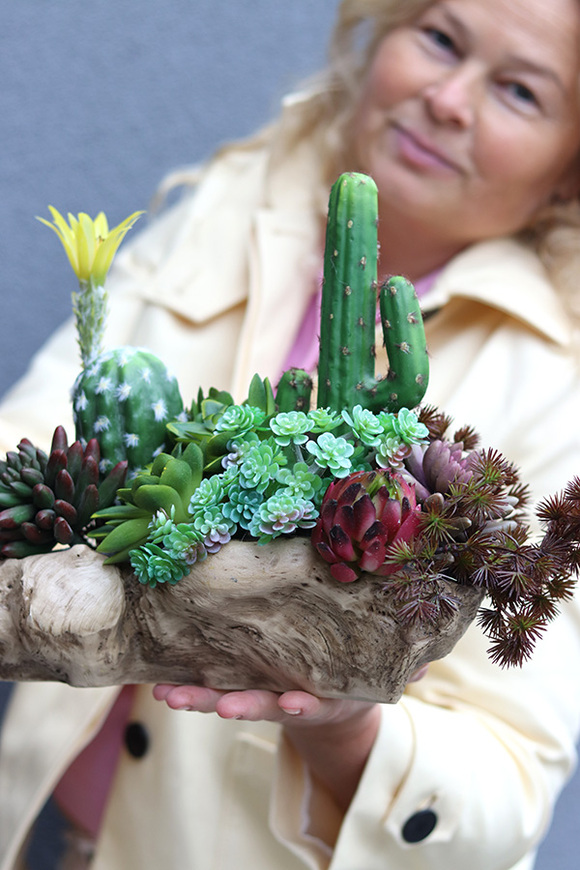 Forrest Suculent, kompozycja sukulenty w donicy korzeniu, wym.26.18x42cm