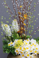 Wiosenne Trele GoldLine, wiosenna kompozycja roślinna