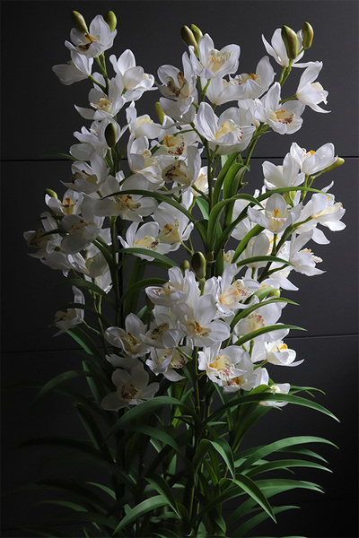 Cymbydium Ambasador, duży sztuczny storczyk XXL w doniczce