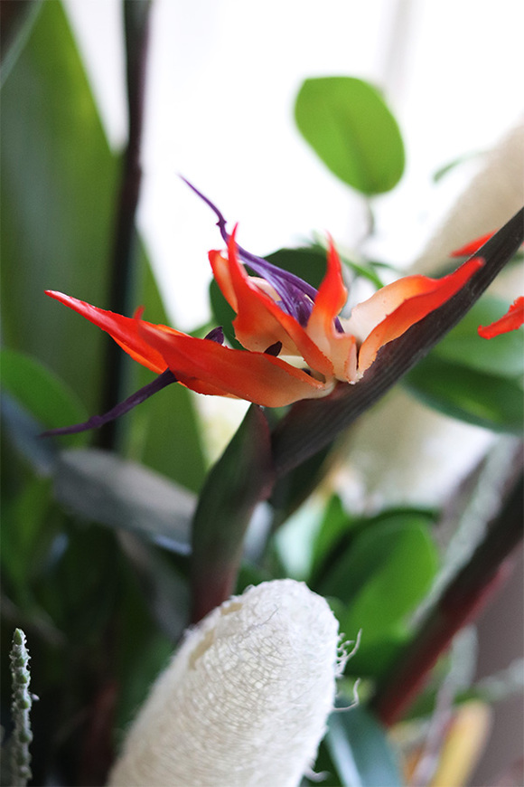 egzotyczna kompozycja w srebrnej donicy, Strelicja Calgary, wys.78cm 