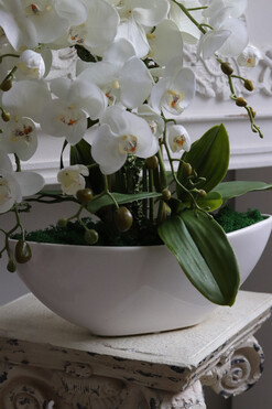 Laos Terra, sztuczny storczyk, wys.60cm