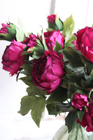 bukiet peonii w szklanym wazonie, Pink Lady, wys.68cm 