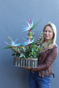 Niebieska Strelicja Wood, egzotyczna kompozycja w donicy, wys.56cm