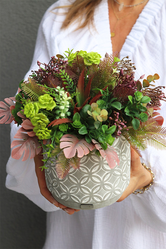 Greenita, sukulenty w nowoczesnej donicy