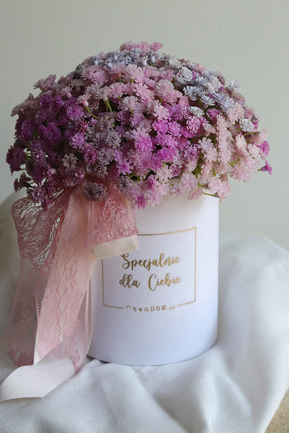 Gipsówka Ballerina, flowerbox kwiatowy welurowy