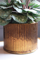 Szronione Cyklameny Gold, elegancka zimowa kompozycja