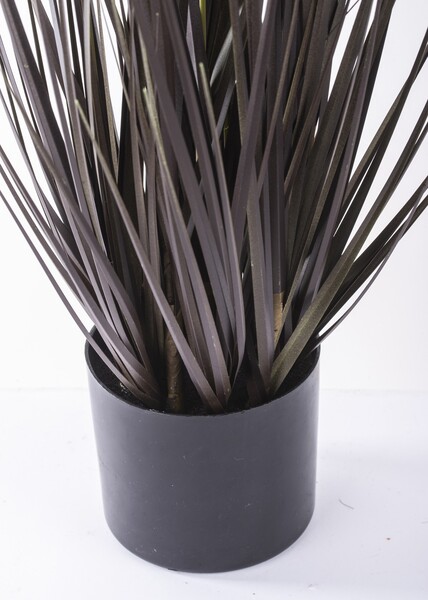 Negra, czarna sztuczna trawa z kłosami, wys.65cm