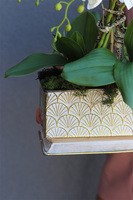 Metalli Orchid, sztuczny storczyk w metalowej donicy