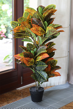 Kroton, sztuczne drzewko w doniczce, wys.100cm 