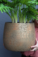 Filodendron Gold Hilton, drzewko sztuczne w donicy