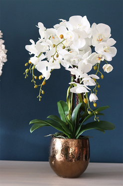 Galona 2, elegancki storczyk w złotej donicy, wys.60cm 