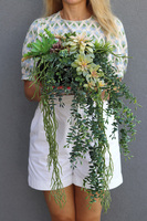 Green Delia, zielona kompozycja z sukulentami, wym.25x32cm