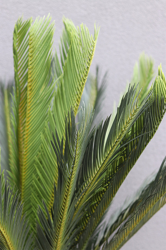 Cykas Grande, sztuczna roślina w osłonce z tworzywa sztucznego