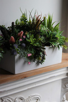 Fragana, kompozycja sukulenty w białej donicy