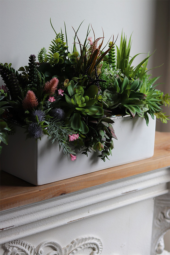 Fragana, kompozycja sukulenty w białej donicy