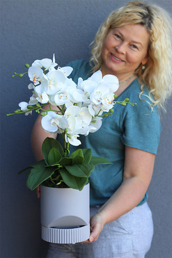 OD RĘKI Beira Grey, elegancki storczyk w szarej donicy, wys.53cm