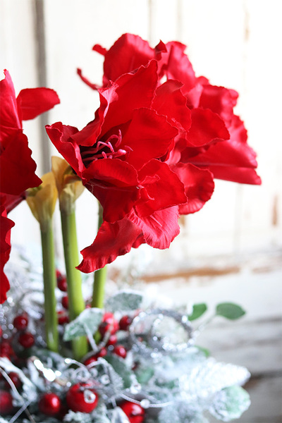 Amarylis Silver Winter, świąteczny stroik z czerwonym amarylisem, wys.60cm  