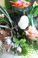 egzotyczna kompozycja w srebrnej donicy, Strelicja Calgary, wys.78cm 