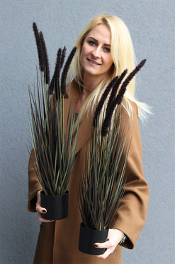 Negra, czarna sztuczna trawa z kłosami, wys.65cm