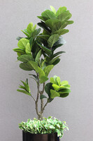 Fikus Dębolistny Fiberglass, sztuczna roślina w donicy fiberglass