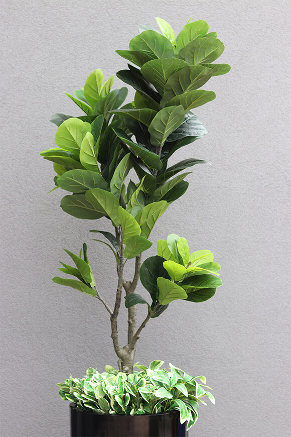 Fikus Dębolistny Fiberglass, sztuczna roślina w donicy fiberglass