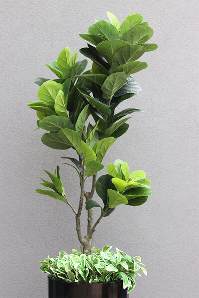 Fikus Dębolistny Fiberglass, sztuczna roślina w donicy fiberglass